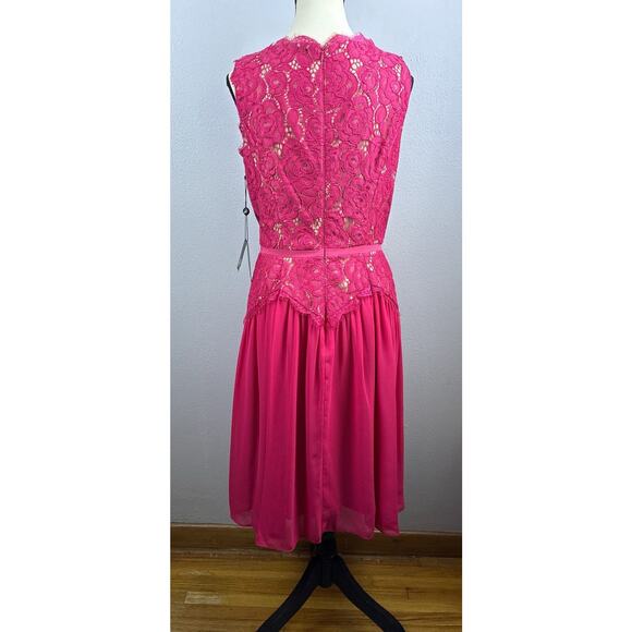 NWT Adrianna Papell Sz 8 Chiffon Lace Overlay Fit N Flare Dk Pink Zip Drop Waist - Picture 5 of 16